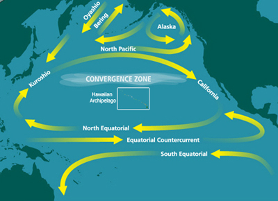 The Great Pacific Garbage Patch