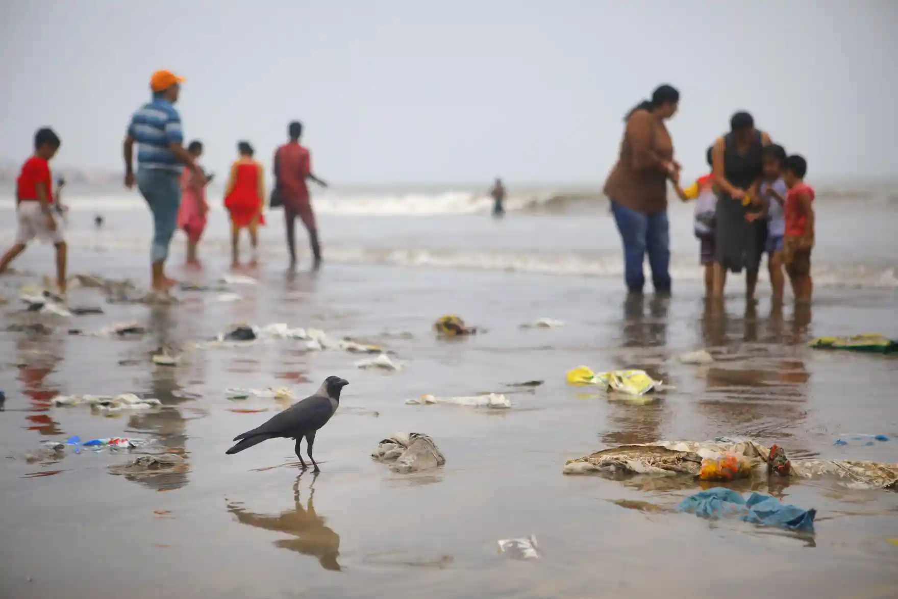 Plastic pollution in the ocean