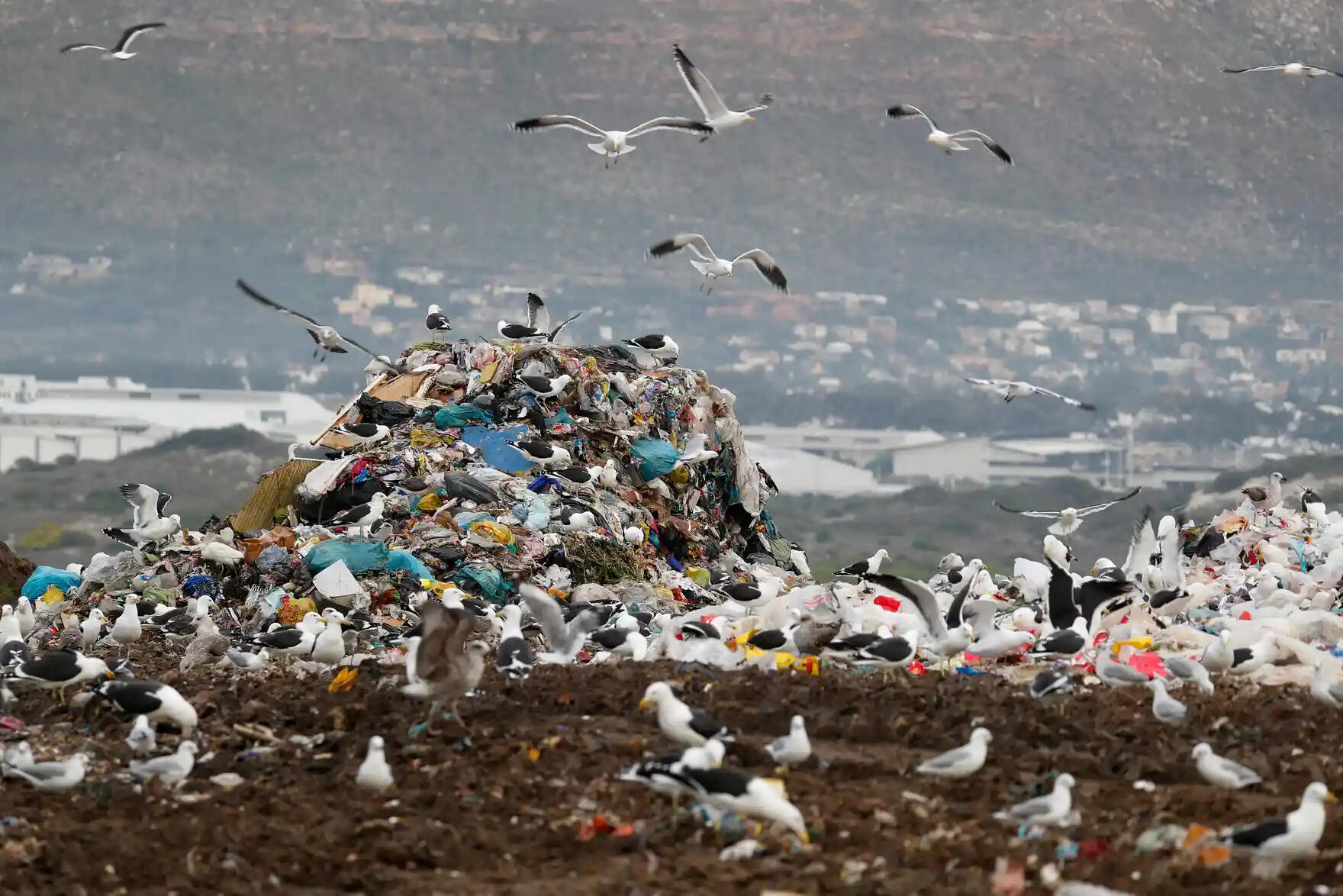 Plastic waste polluting the environment