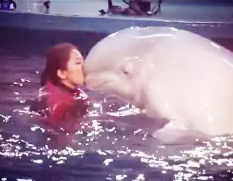 Me with Sophie the beluga whale