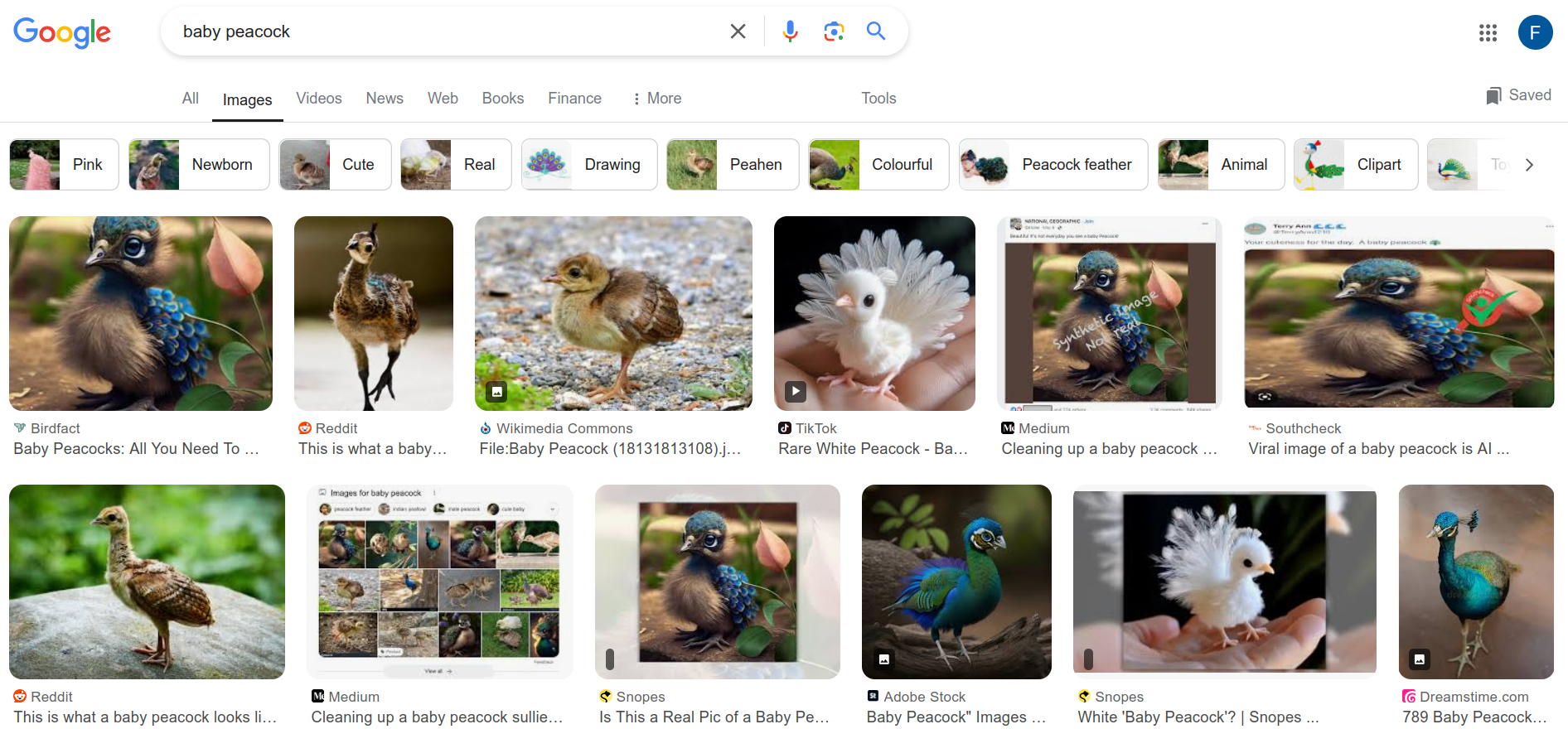 Google search results showing mostly AI-generated images